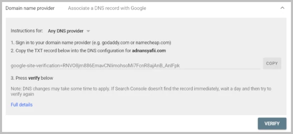 domain name provider