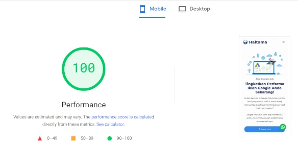 Contoh performa landing page setelah ditest menggunakan PageSpeed Insight